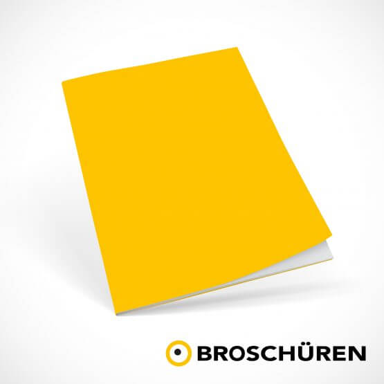 Broschüre Pfitzer Druckerei Stuttgart - Offset und Digitaldruck, Logistik
